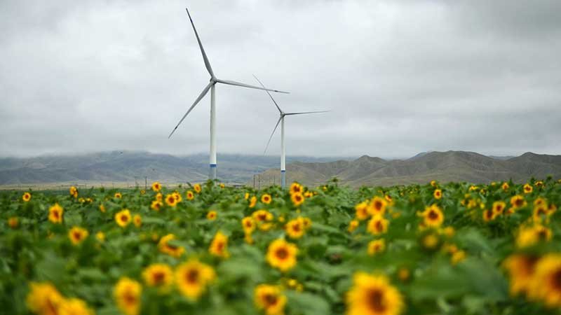 নতুন বছরেও নবায়নযোগ্য জ্বালানি খাতে নেতৃত্ব দেবে চীন