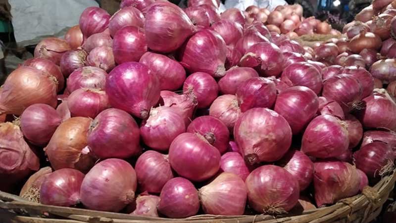হিলি স্থলবন্দরে ১৯ টাকায় নামল পেঁয়াজের দাম