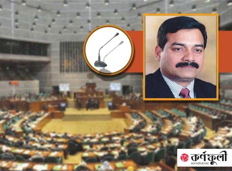 ‘কথা বলতে দিন, তা না হলে সংসদে থাকব কেন?’